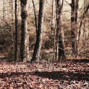 Meet your Posher, Amethystamethyst